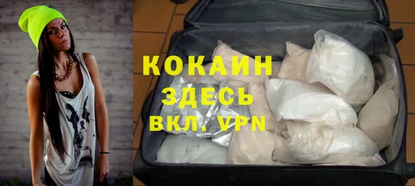 спиды Пересвет