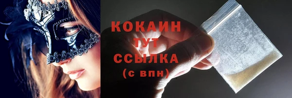 спиды Пересвет