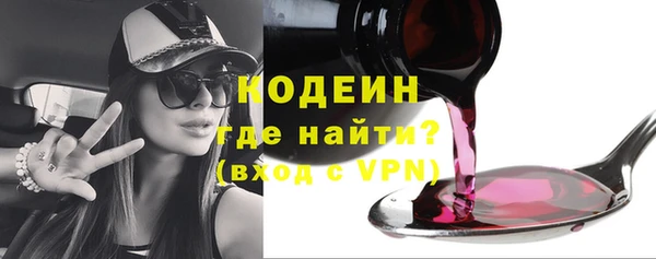 спиды Пересвет