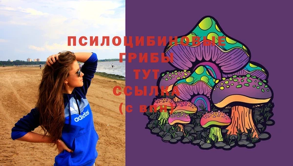 круглые Переславль-Залесский