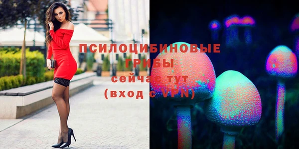 спиды Пересвет
