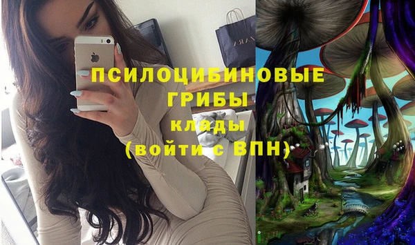 спиды Пересвет