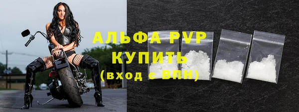 спиды Пересвет