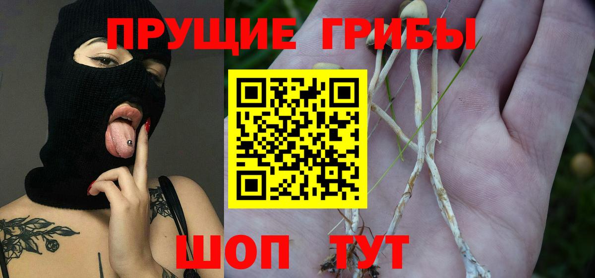 Псилоцибиновые грибы прущие грибы Отрадный